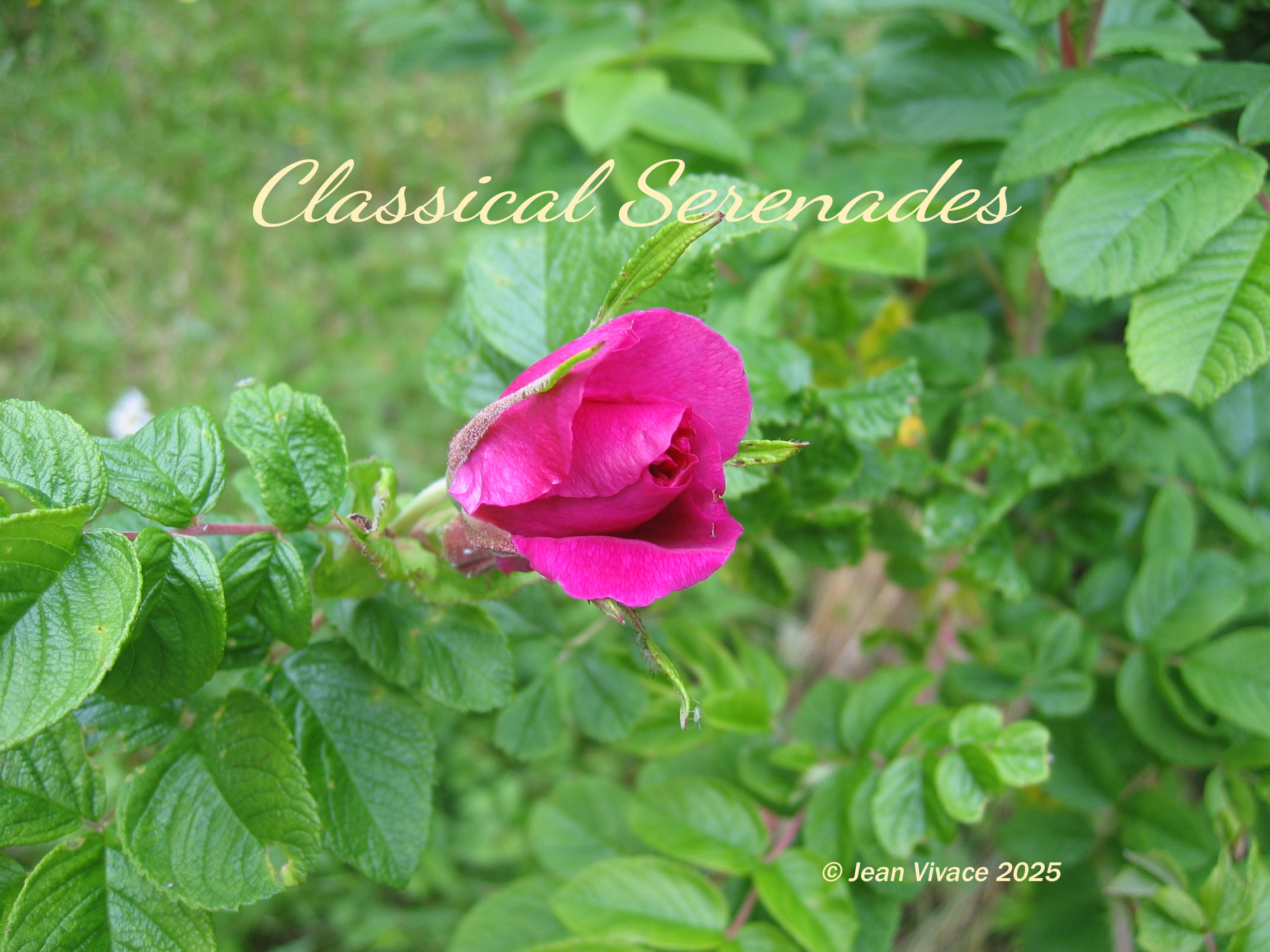 © Eight Letters – Jean Vivace